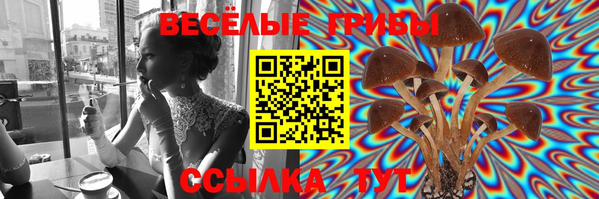 Псилоцибиновые грибы MAGIC MUSHROOMS  Вход с VPN  Мыски 
